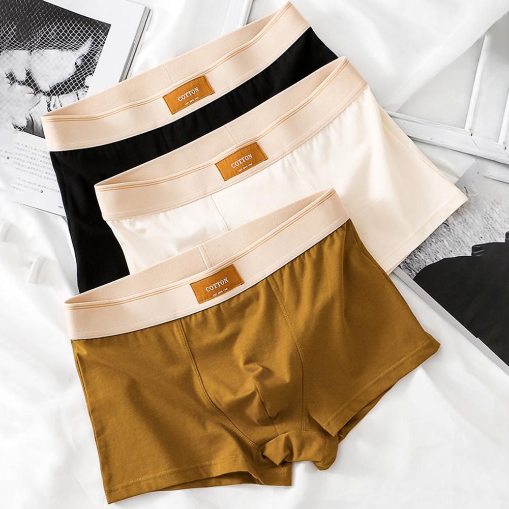 Cuecas Boxer de Algodão - Kit 5