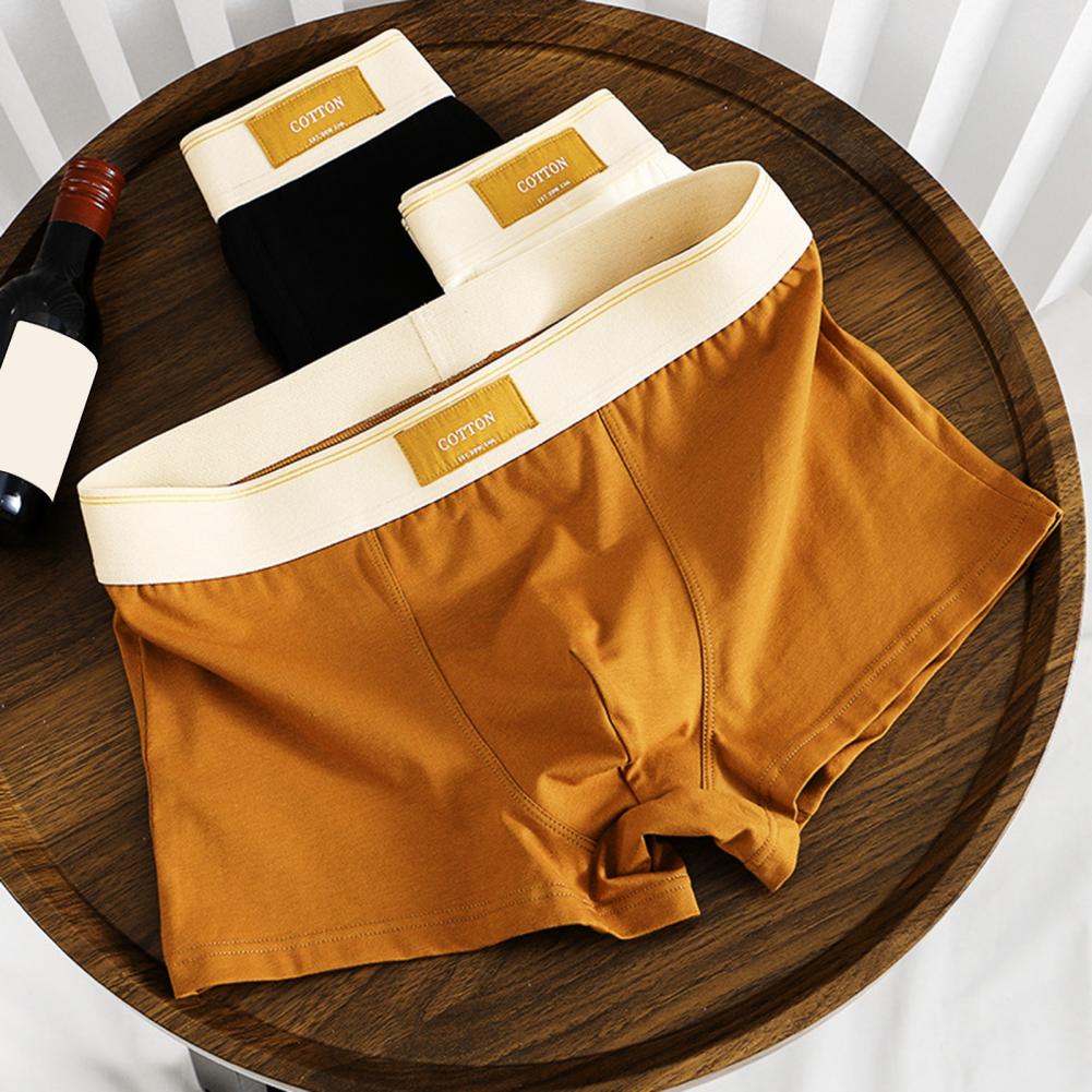 Cuecas Boxer de Algodão - Kit 5