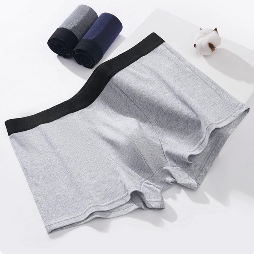 Cuecas Boxer Básicas - Kit 10